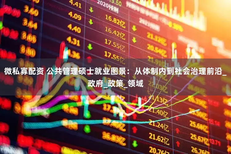微私寡配资 公共管理硕士就业图景：从体制内到社会治理前沿_政府_政策_领域